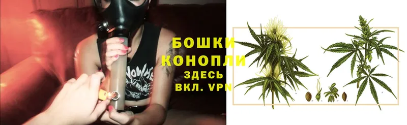 Бошки марихуана SATIVA & INDICA  Кондопога 